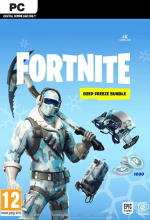 S/ Fortnite Deep Freeze Bundle (PC)